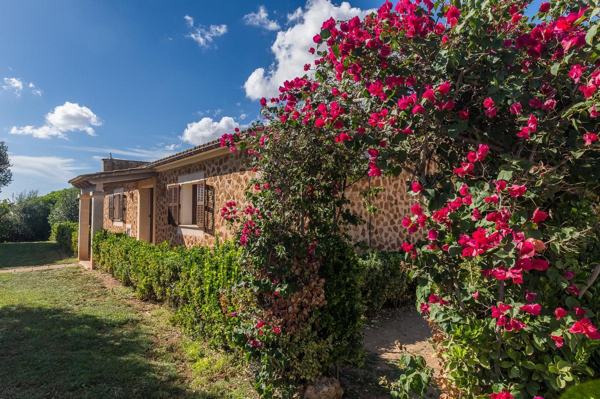 Son Sea Villa Campos  Εξωτερικό φωτογραφία